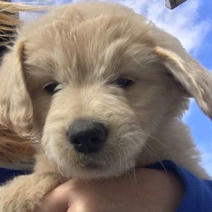 Meet your Posher, Rebekah